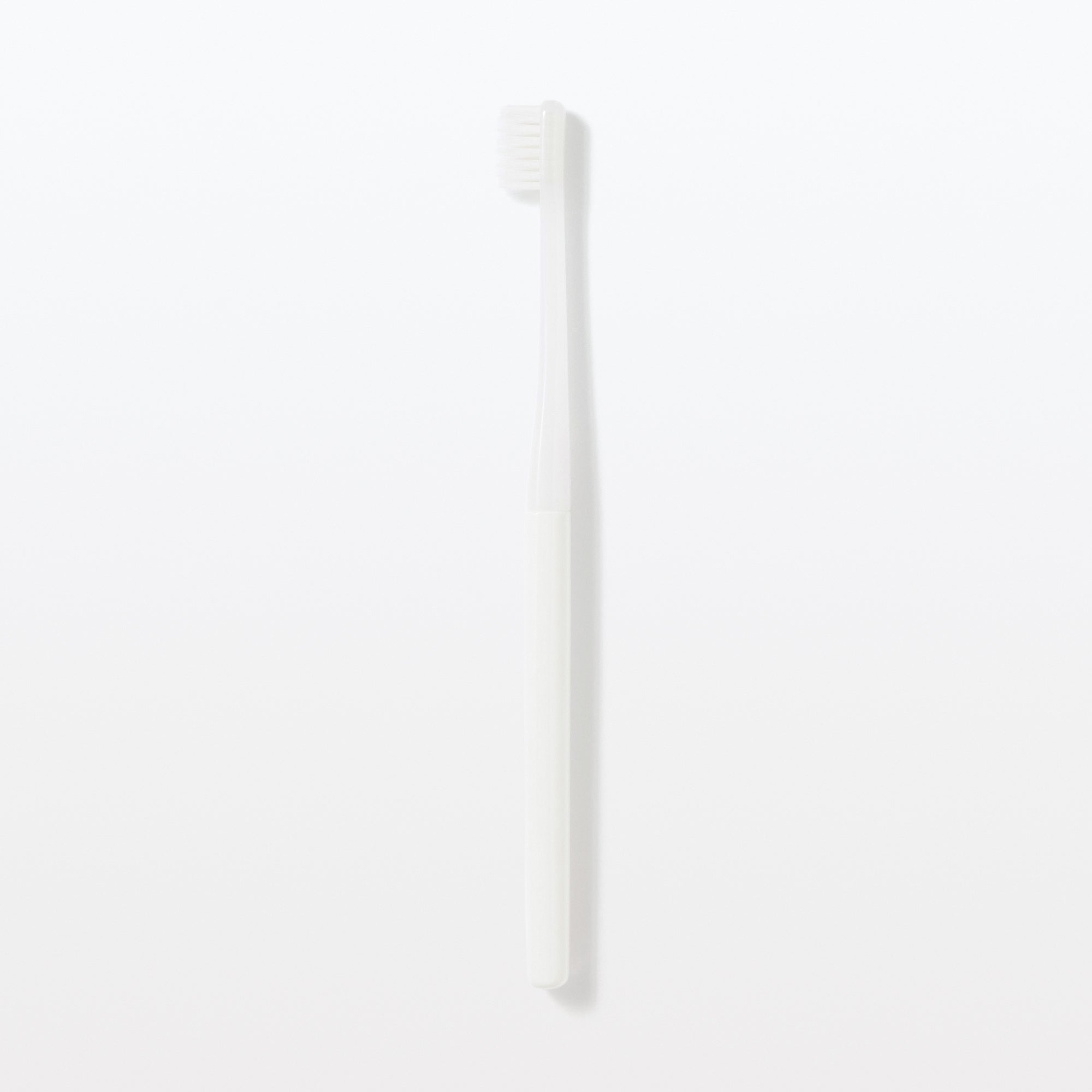 Replaceable Head Soft Toothbrush - White