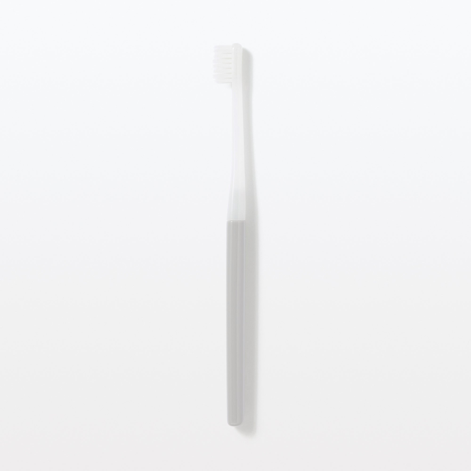 Replaceable Head Soft Toothbrush - Gray