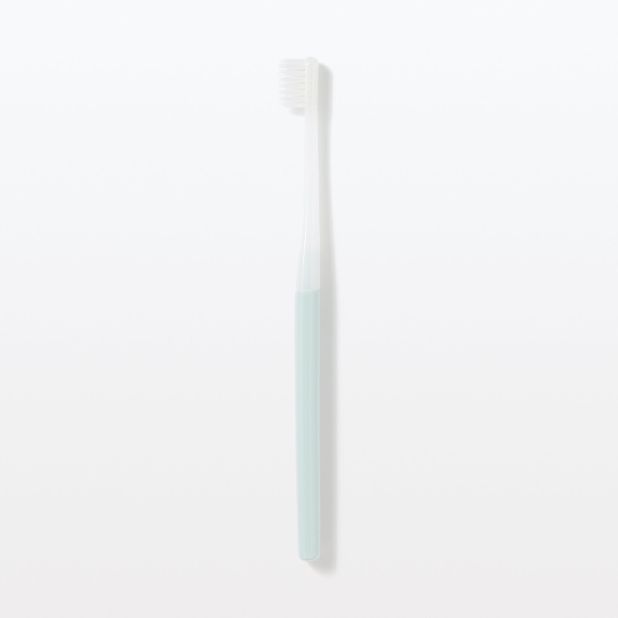 Replaceable Head Soft Toothbrush - Blue