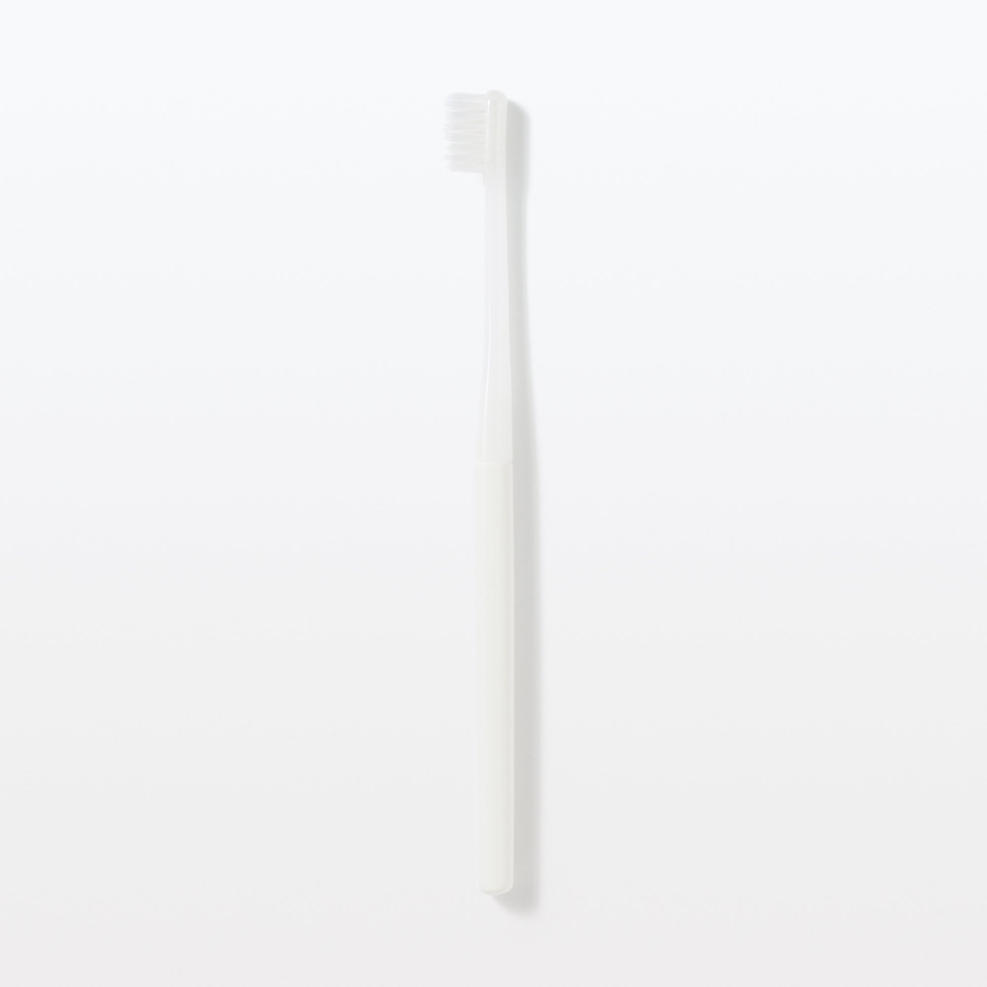 Replaceable Head Medium Toothbrush - White