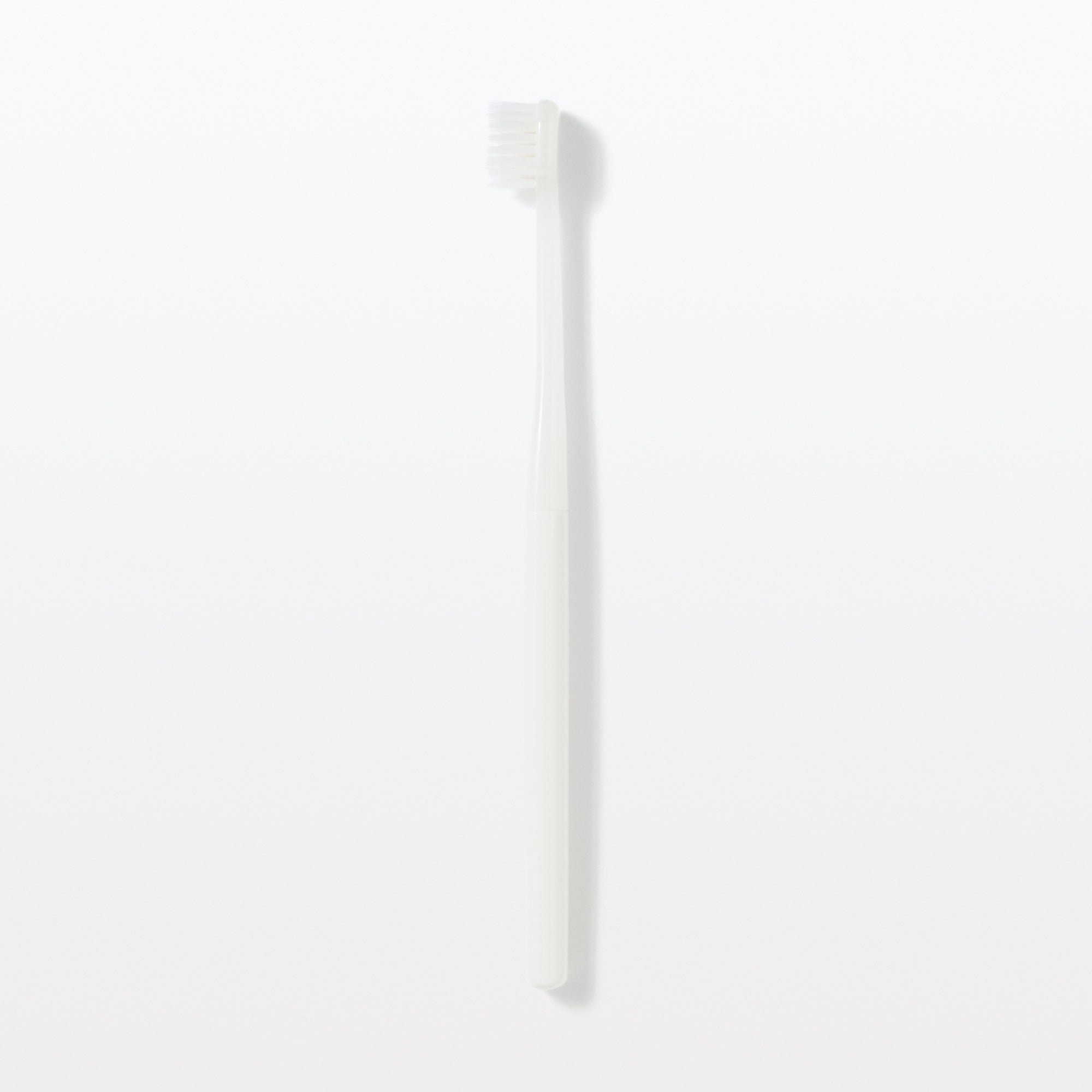 Replaceable Head Wide Medium Toothbrush - White